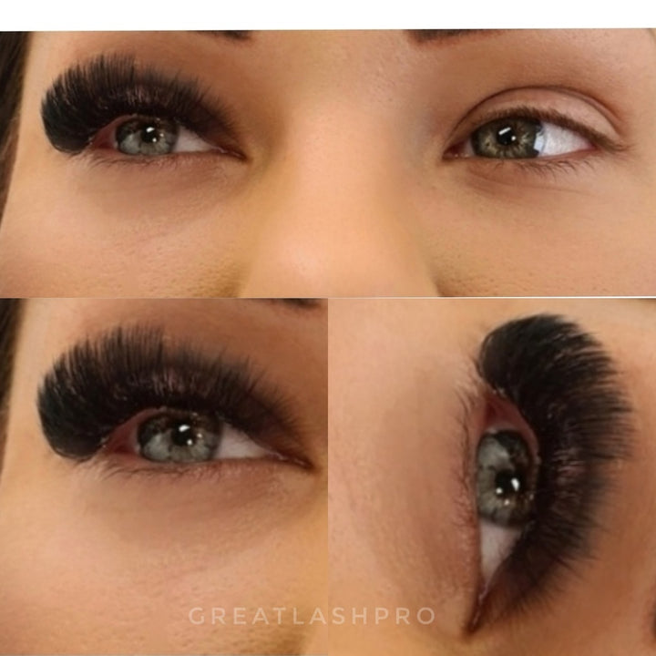 14D Fertige Fächer 0.05 - Great Lash Pro