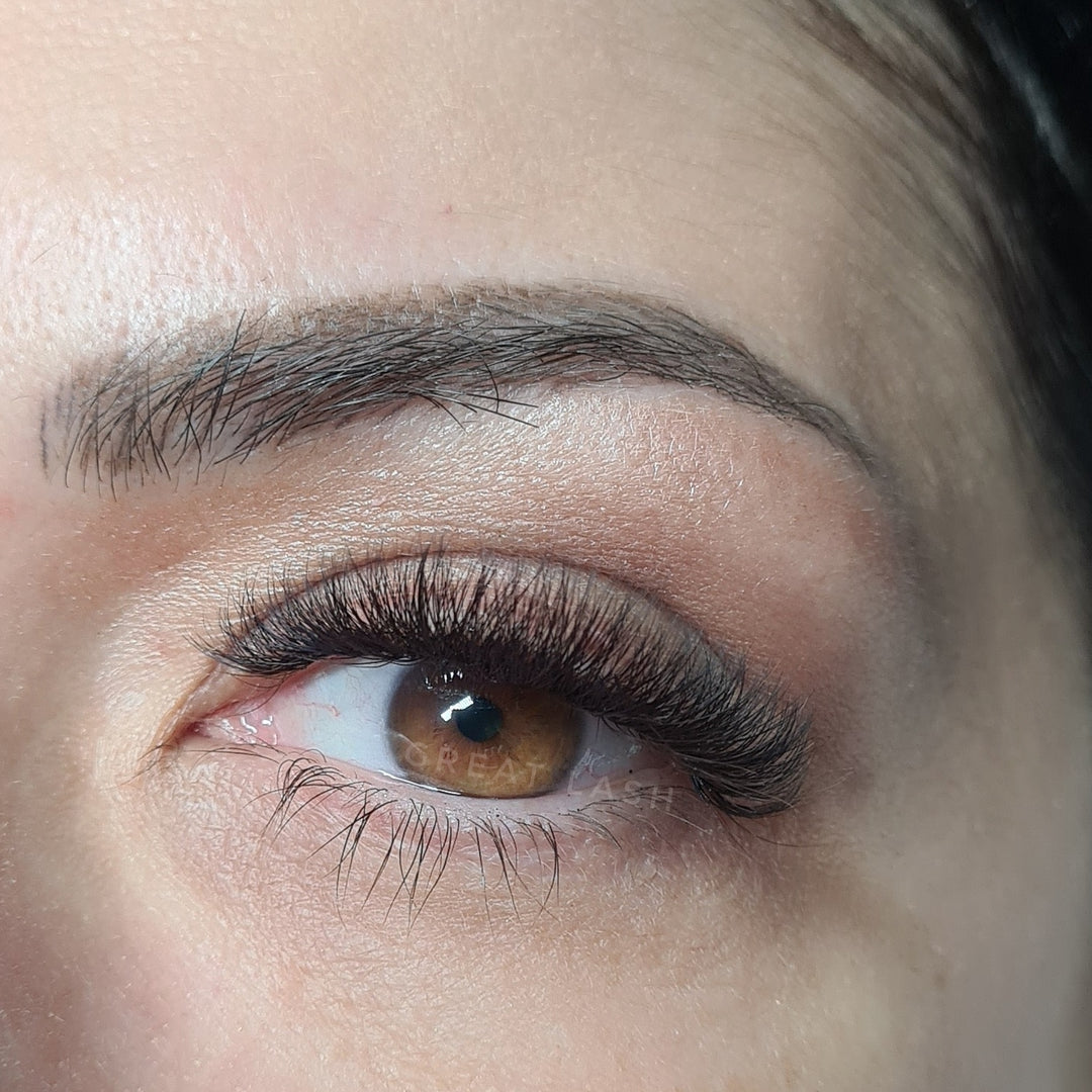 6D Fertige Fächer 0.07 - Great Lash Pro