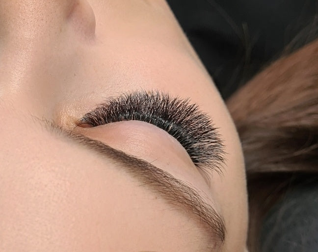 6D Fertige Fächer 0.07 - Great Lash Pro