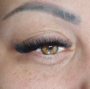 7D Fertige Fächer 0.07 - Great Lash Pro