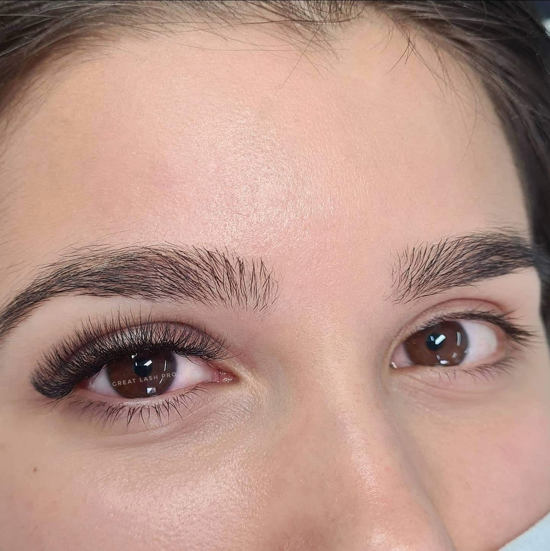 4D Fertige Fächer 0.07 - Great Lash Pro