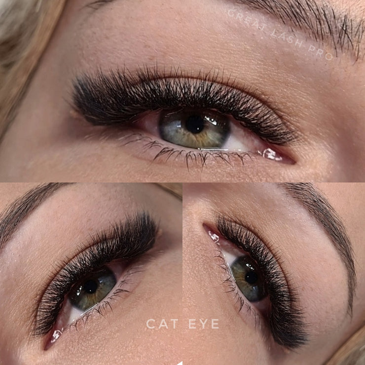 6D/M Fertige Fächer 0.07 - Great Lash Pro