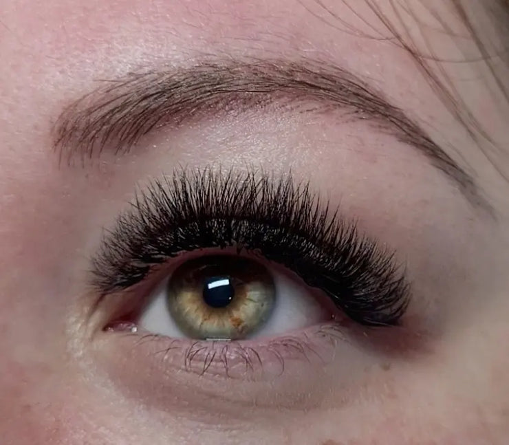 7D Fertige Fächer 0.07 - Great Lash Pro