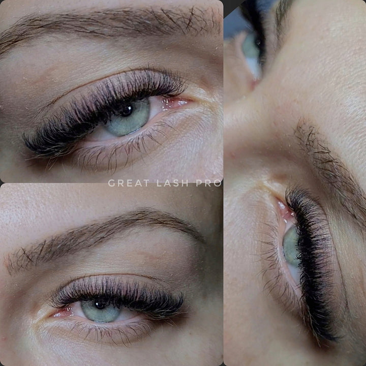 4D Fertige Fächer 0.07 - Great Lash Pro