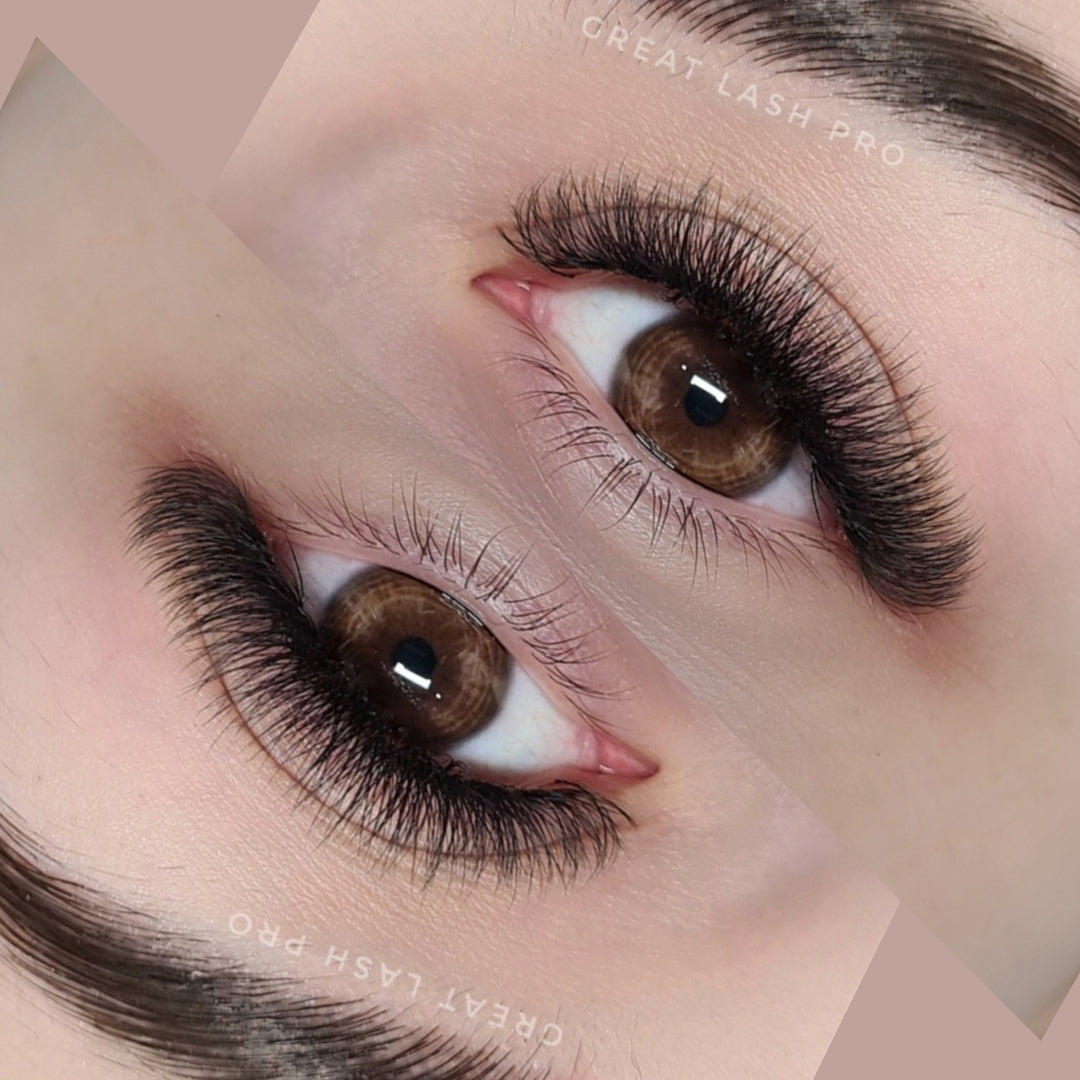 6D Fertige Fächer 0.07 - Great Lash Pro